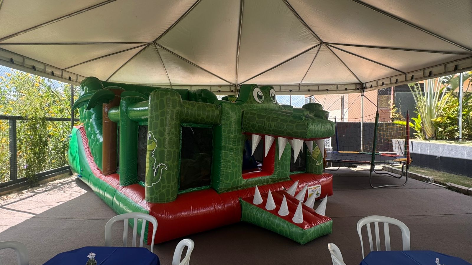 Croco Grande