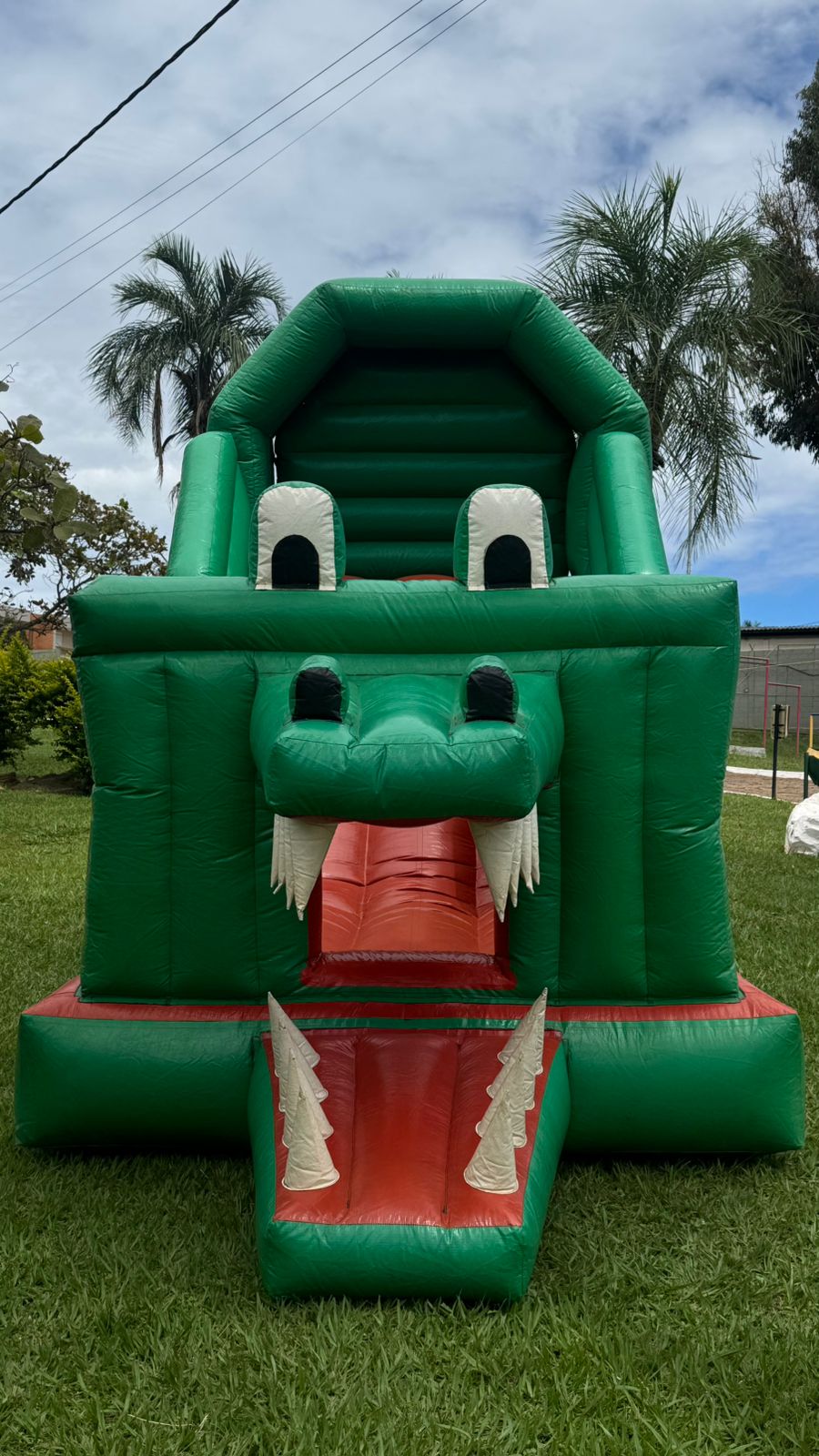 Tobogã Jacaré